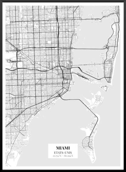 Affiche Miami Design