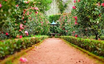 festival des jardins