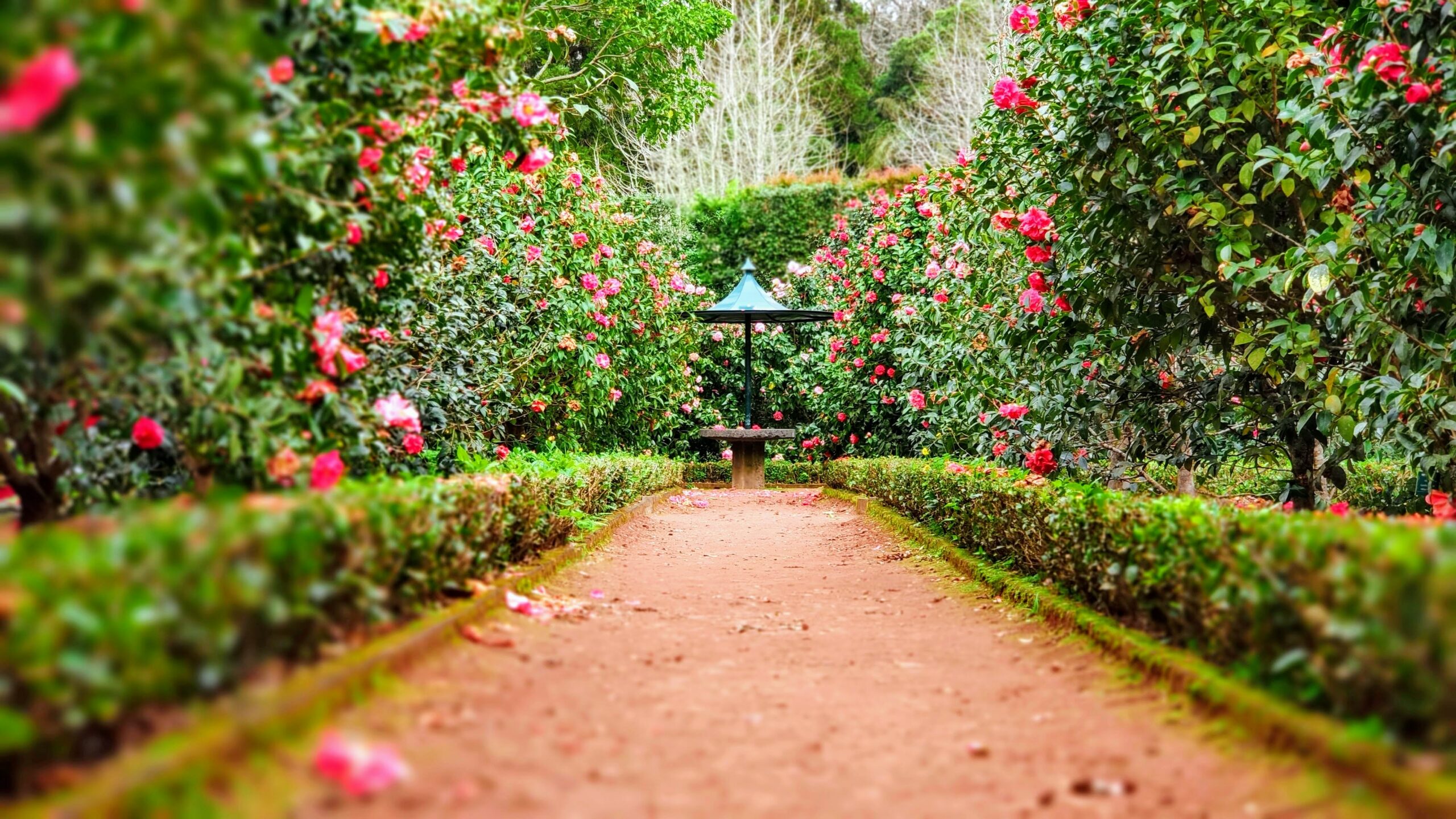 festival des jardins