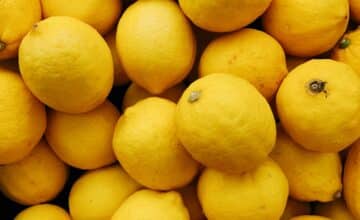 Fête du citron
