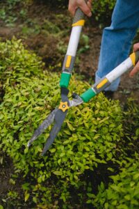 Quels cadeaux offrir à un passionné de jardinage ?